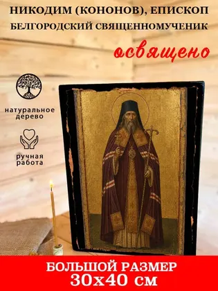 Никодим (Кононов), епископ Белгородский священномученик — фото 7