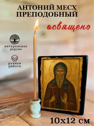 Антоний Месх преподобный — фото 3