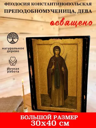 Феодосия Константинопольская преподобномученица, дева — фото 7