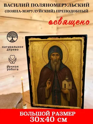 Василий Поляномерульский (Пояна-Мэрулуйский) преподобный — фото 7