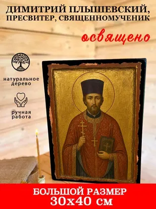 Димитрий Плышевский, пресвитер, священномученик — фото 7