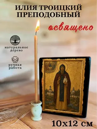 Илия Троицкий преподобный — фото 3