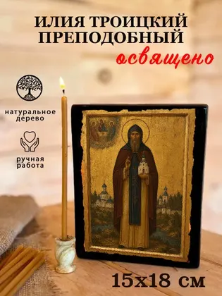Илия Троицкий преподобный — фото 5
