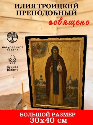 Илия Троицкий преподобный — фото 7