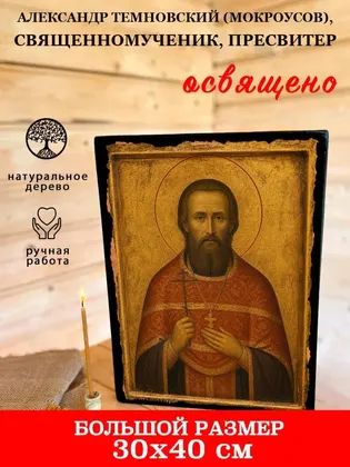 Александр Темновский (Мокроусов), священномученик, пресвитер — фото 7