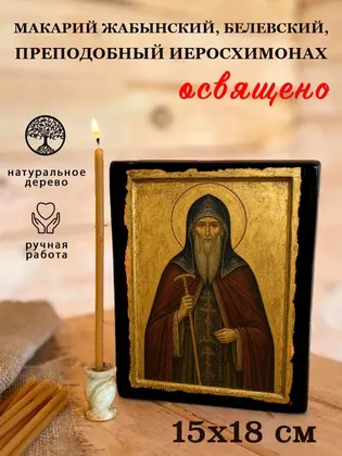 Макарий Жабынский, Белевский, преподобный иеросхимонах — фото 5
