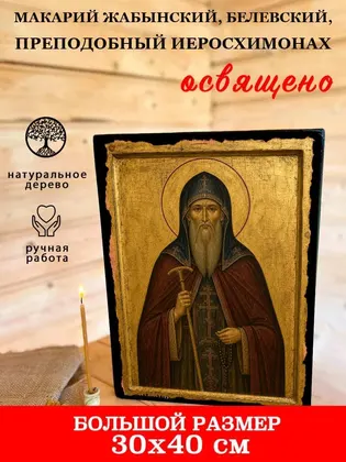 Макарий Жабынский, Белевский, преподобный иеросхимонах — фото 7