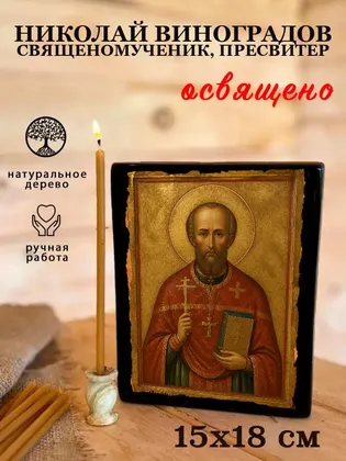 Николай Виноградов священомученик, пресвитер — фото 5