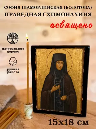 София Шамординская (Болотова) праведная схимонахиня — фото 5