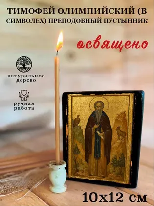 Тимофей Олимпийский (в Символех) преподобный пустынник — фото 3