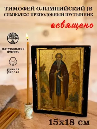 Тимофей Олимпийский (в Символех) преподобный пустынник — фото 5