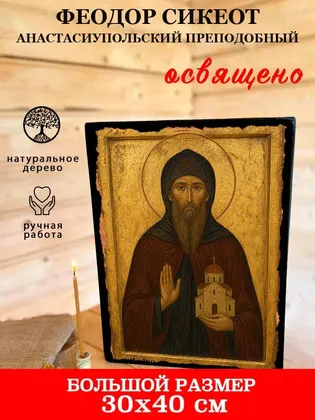Феодор Сикеот Анастасиупольский преподобный — фото 7