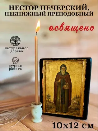 Нестор Печерский, Некнижный преподобный — фото 3
