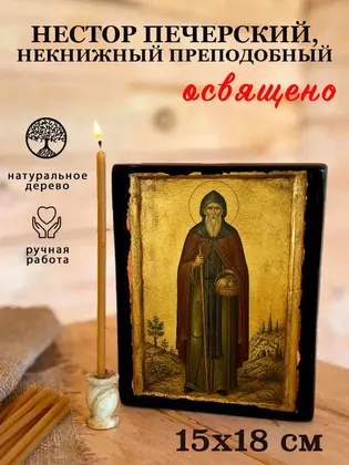 Нестор Печерский, Некнижный преподобный — фото 5