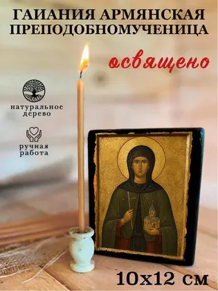 Гаиания Армянская преподобномученица — фото 3