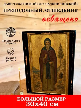 Давид Солунский (Фессалоникийский) Преподобный, отшельник — фото 7