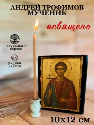 Андрей Трофимов мученик — фото 3