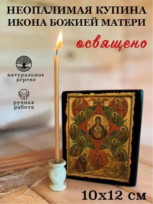 Божия Матерь Неопалимая Купина — классическое исполнение — фото 3
