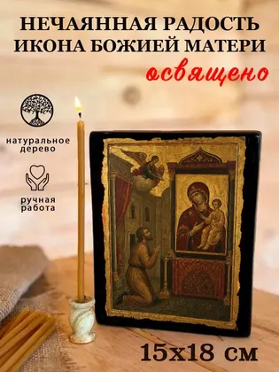 Божией Матери Нечаянная Радость — классическое исполнение — фото 5