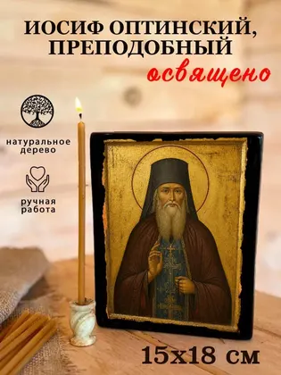 Иосиф Оптинский, преподобный — фото 5
