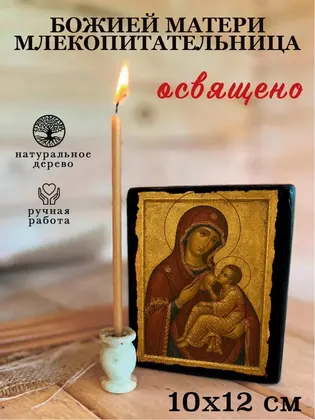 Божией Матери Млекопитательница — фото 3