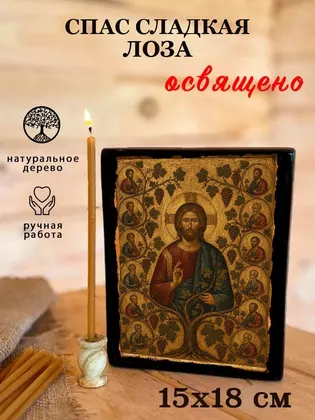 Спас сладкая лоза — фото 5