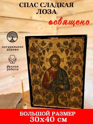 Спас сладкая лоза — фото 7