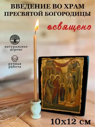 Введение во храм Пресвятой Богородицы — фото 3