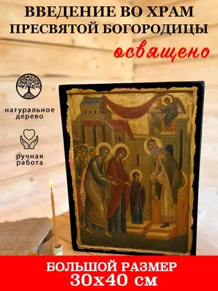Введение во храм Пресвятой Богородицы — фото 7